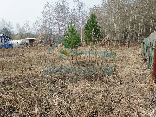 Участок 5.5 сот.