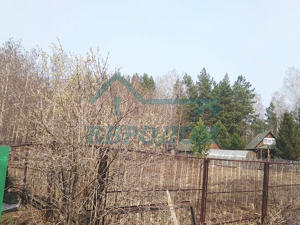 Участок 5.5 сот.
